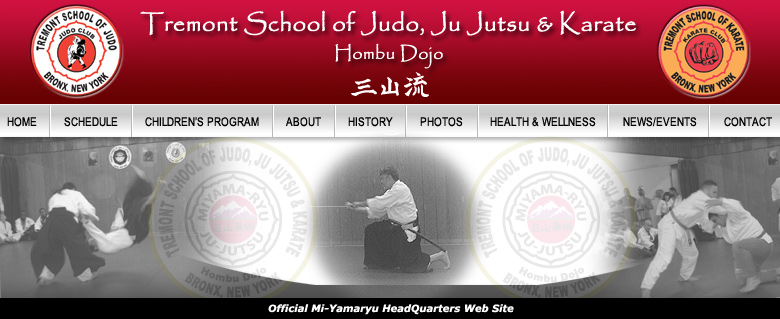 Bronx New York NY Martial Arts Karate Judo Ju Jutsu Jujitsu JuJutsu Taekwon do