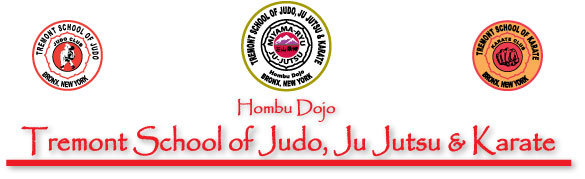 Bronx New York NY Martial Arts Karate Judo Ju Jutsu Jujitsu JuJutsu Taekwon do